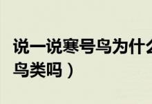 说一说寒号鸟为什么不是鸟类（寒号鸟属于你鸟类吗）