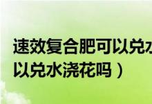 速效复合肥可以兑水浇多肉吗（速效复合肥可以兑水浇花吗）