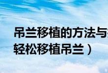 吊兰移植的方法与技巧（吊兰怎样移栽 怎样轻松移植吊兰）
