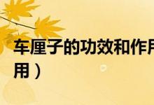 车厘子的功效和作用（车厘子有什么功效和作用）