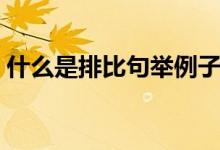 什么是排比句举例子（排比句的说明及例子）