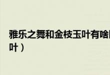 雅乐之舞和金枝玉叶有啥区别（怎么辨别雅乐之舞和金枝玉叶）