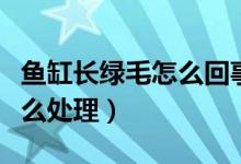 鱼缸长绿毛怎么回事（鱼缸长绿毛啦怎么办怎么处理）