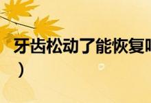 牙齿松动了能恢复吗（牙齿松动能自己恢复吗）