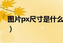 图片px尺寸是什么意思（图片px尺寸的解释）