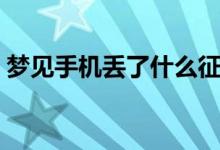 梦见手机丢了什么征兆（梦见手机丢了解释）