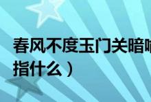 春风不度玉门关暗喻什么（春风不度玉门关暗指什么）