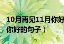 10月再见11月你好语录（关于10月再见11月你好的句子）