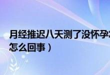 月经推迟八天测了没怀孕怎么办（月经推迟八天测了没怀孕怎么回事）