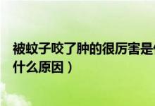 被蚊子咬了肿的很厉害是什么病（被蚊子咬了肿的很厉害是什么原因）