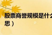 股票商誉规模是什么（股票商誉规模是什么意思）