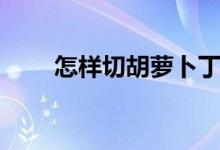 怎样切胡萝卜丁（怎样切胡萝卜丁）