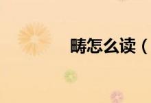 畴怎么读（畴是什么意思）