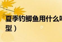 夏季钓鲫鱼用什么味型（夏季钓鲫鱼用什么味型）