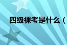 四级裸考是什么（四级裸考是什么意思）