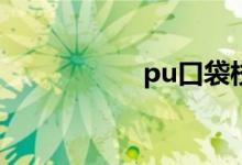 pu口袋校园怎么注册
