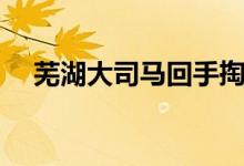 芜湖大司马回手掏(芜湖大司马的语录)