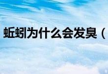 蚯蚓为什么会发臭（蚯蚓为什么会发出叫声）