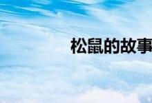 松鼠的故事（松鼠的种类）