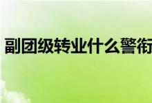 副团级转业什么警衔（副团级转业什么级别）