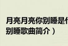 月亮月亮你别睡是什么歌的歌词（月亮月亮你别睡歌曲简介）