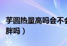 芋圆热量高吗会不会长胖（芋圆热量高吗会发胖吗）