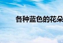 各种蓝色的花朵（各种蓝色的名称）