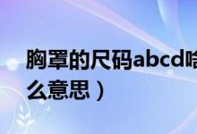 胸罩的尺码abcd啥意思（文胸尺码abc是什么意思）