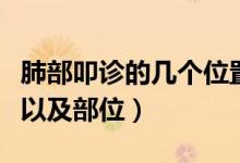 肺部叩诊的几个位置（肺部叩诊听诊各几个点以及部位）