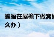 蝙蝠在屋檐下做窝好不好（屋顶有蝙蝠做窝怎么办）