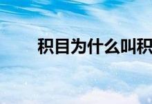 积目为什么叫积目（积目什么意思）