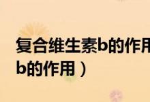复合维生素b的作用与功效（盘点复合维生素b的作用）