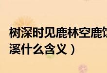 树深时见鹿林空鹿饮溪（林深时见鹿林空鹿饮溪什么含义）