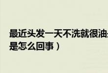 最近头发一天不洗就很油是什么原因（一天不洗头发就很油是怎么回事）