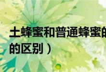 土蜂蜜和普通蜂蜜的区别（土蜂蜜和普通蜂蜜的区别）