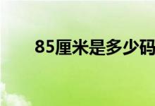 85厘米是多少码（85厘米是几尺几）