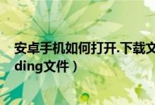 安卓手机如何打开.下载文件（安卓手机如何打开.downloading文件）