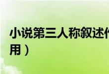 小说第三人称叙述作用（小说第三人称叙述作用）