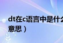dt在c语言中是什么意思（语c里的dt是什么意思）