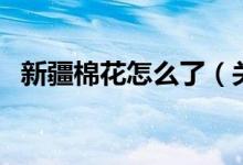 新疆棉花怎么了（关于新疆棉花事件介绍）