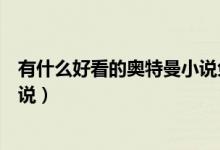 有什么好看的奥特曼小说免费（有什么好看的奥特曼完结小说）