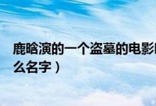 鹿晗演的一个盗墓的电影叫什么（鹿晗演的盗墓的电影叫什么名字）