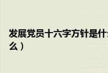 发展党员十六字方针是什么意思（发展党员十六字方针是什么）