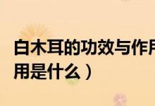 白木耳的功效与作用吃法（白木耳的功效与作用是什么）