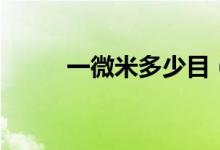 一微米多少目（一微米多少毫米）