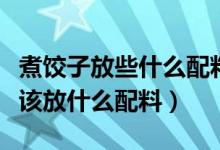 煮饺子放些什么配料好吃（饺子怎么煮才好吃该放什么配料）