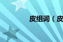 皮组词（皮可以组哪些词）