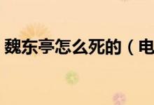 魏东亭怎么死的（电视剧里魏东亭怎么死的）