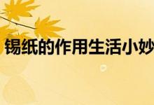 锡纸的作用生活小妙招（锡纸的作用和用途）