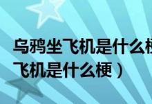 乌鸦坐飞机是什么梗这个梗怎么来的（乌鸦坐飞机是什么梗）